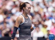 米兰体育下载-西班牙网球名将成功晋级，澳大利亚网球选手遗憾止步