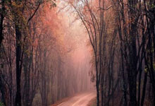 米兰体育下载-西亚卡姆爆发助山西力克深圳，外援核心成胜负手