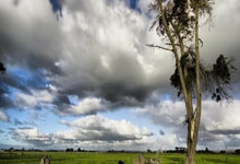 ac米兰-蓝色狂飙！江苏苏宁力克津门虎，争冠之路再添关键三分