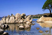 米兰捕鱼-足球巨星VS篮球传奇？内马尔中超赛场绝杀杜兰特引爆全球体育圈！