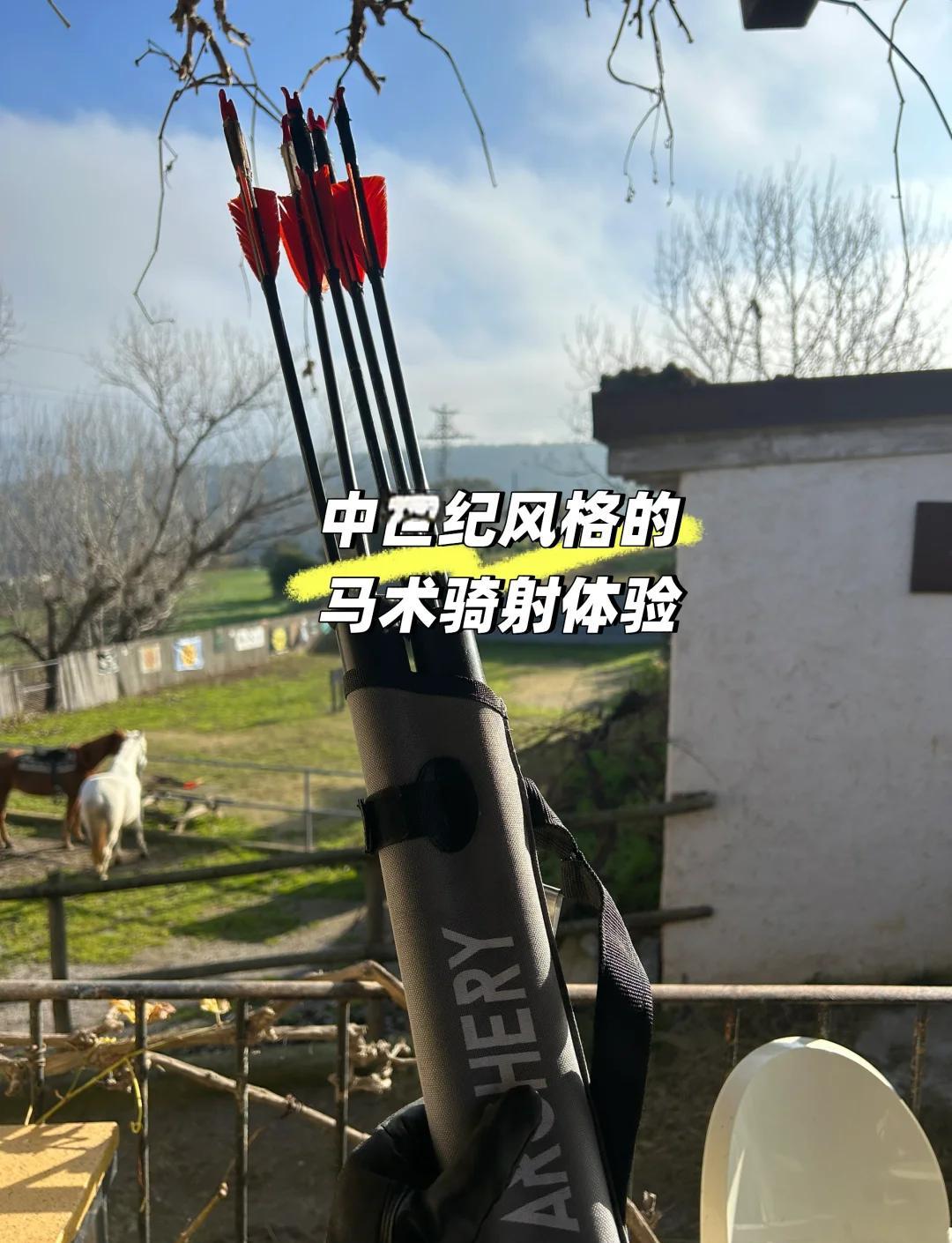 西班牙马术高手夺魁，实力传诵